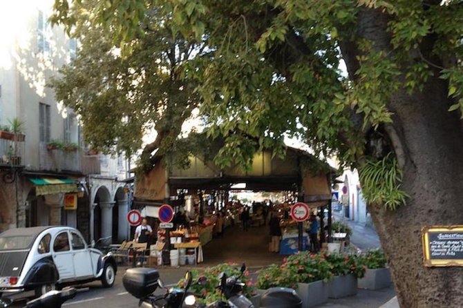 Private Tour from Cannes - Experience the French Riviera privately from Cannes for an unforgettable day