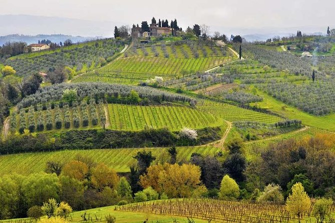 Private tour from Florence to Cortona and Arezzo - Comfortable Transportation and Private Experience