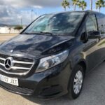 Private tour from Malaga to the Alhambra Palace and Granada for up to 8 persons - The Unique Appeal of a Private Malaga to Granada Trip