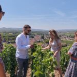 Private tour: Full Day Veuve Clicquot to Reims or Epernay region - Visiting the Village of Hautvillers