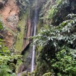 Private Tour Furnas: Furnas Lake Hike & Terra Nostra Park - Breathtaking Views from Pico do Ferro Viewpoint