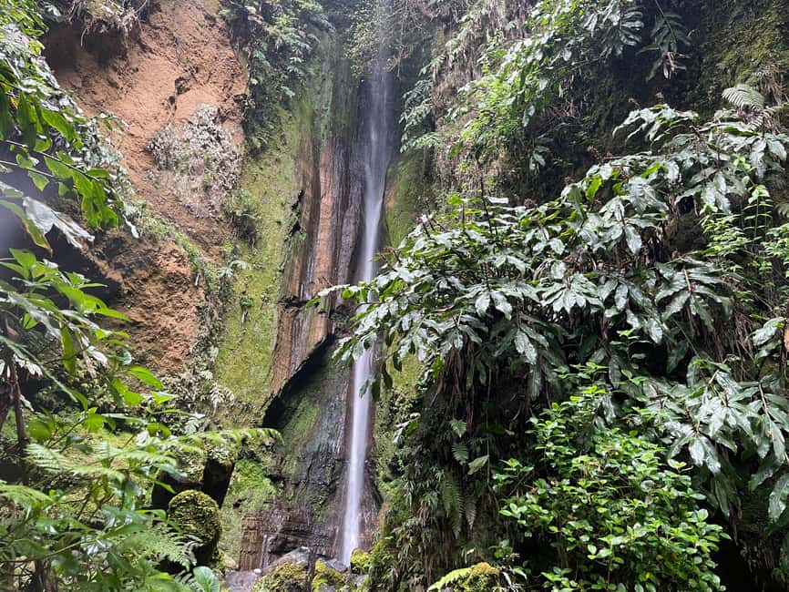 Private Tour Furnas: Furnas Lake Hike & Terra Nostra Park - Breathtaking Views from Pico do Ferro Viewpoint