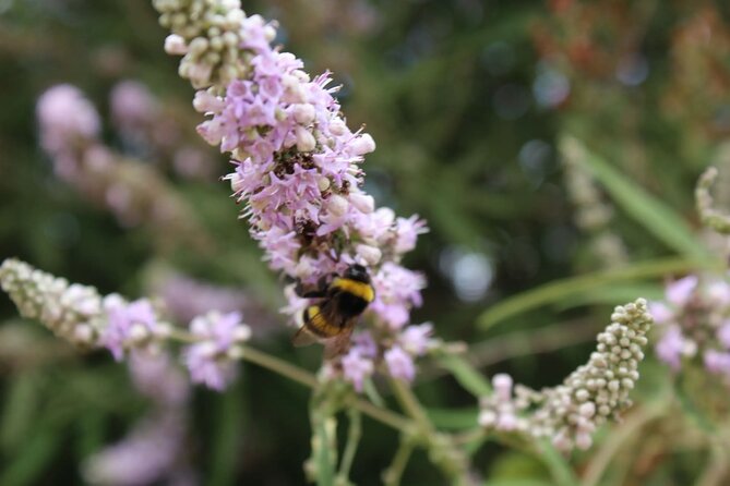 Private Tour in Chania Monasteries - Discovering the Underground Church in Kathiana