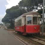 Private Tour in Sintra and Cascais - Exploring Sintra’s Architectural and Natural Diversity