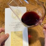 Private tour in the prestigious Médoc wine region - How the Tour Starts at Bordeaux and Ends at Famous Château Lagrange