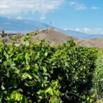 Private Tour: Khor Virap-Garni-Geghard - The Unique Charm of Garni’s Greco-Roman Architecture