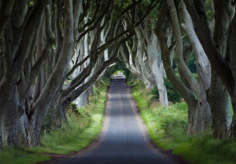 Private Tour of Game of Thrones Filming Locations Ireland - Departure Point and Return in Belfast