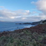 Private Tour of Giant's Causeway - Scenic Drive Along the Antrim Coast with Spectacular Views