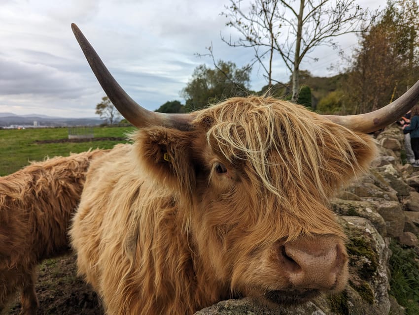Private Tour of Loch Ness, Pitlochry, Glencoe and Highlands - Scenic Drive through the Heart of the Scottish Highlands