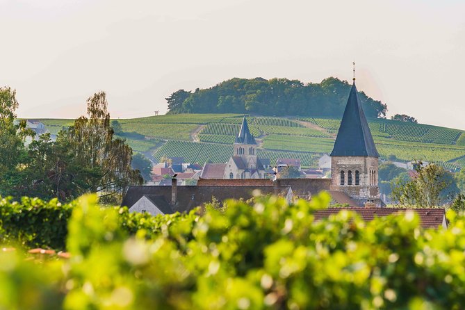 Private tour of the Champagne area, meet local producers and taste their Champagne, start from your hotel in Paris. - Starting from Paris: Door-to-Door Service