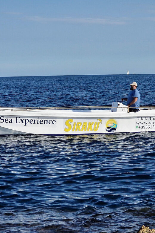 Private Tour of the Island of Ortigia and the Sea Caves - Viewing the Maniace Castle from the Sea