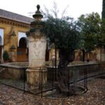 Private Tour of the Mosque-Cathedral and Jewish Quarter - Meeting Point and Tour Logistics in Córdoba
