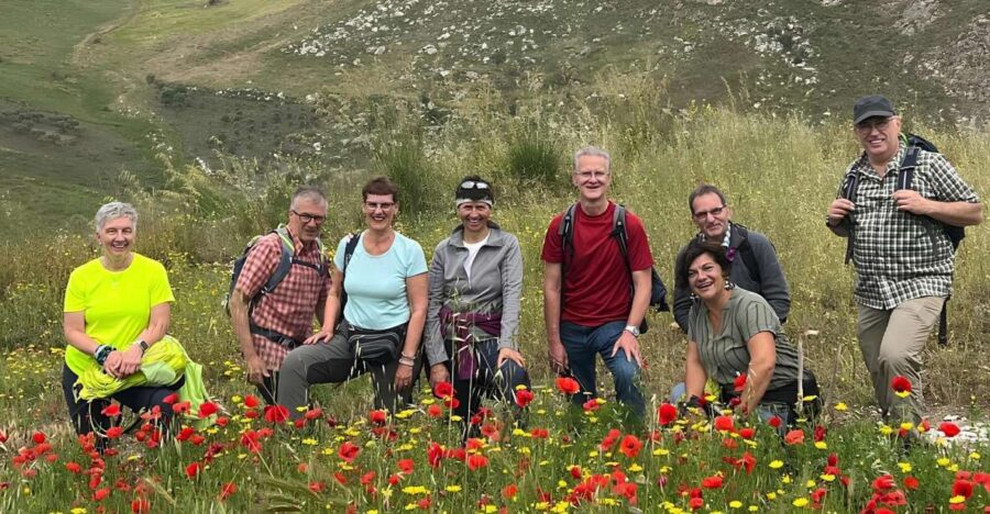 Private tour of the villages of the Belice Valley - From Contessa Entellina to Salemi: The Village Stops