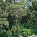 Private tour on a sailboat Swim and stand up paddle Antibes cape - Starting from Sentier du Fort Carré: Your Meeting Point for Scenic Sailing