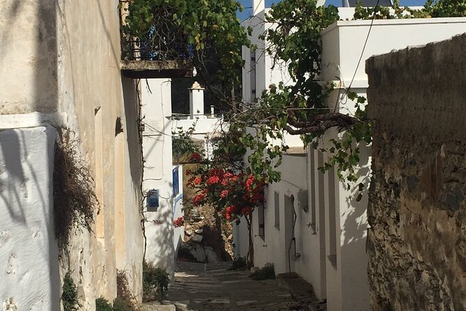 Private Tour on Paros Island - Exploring Local Villages and Scenic Spots with a Knowledgeable Guide