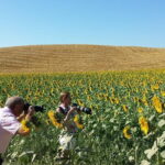 Private Tour: Orcia Valley to Montalcino and Montepulciano with Brunello Wine Tasting - Discovering Montepulciano and Its Nobile Red Wines