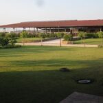 Private Tour: Paestum, Mozzarella Bufala guided tour and lunch - Guided Tour of Tenuta Vannullo Buffalo Farm