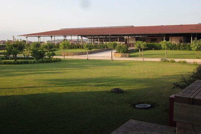 Private Tour: Paestum, Mozzarella Bufala guided tour and lunch - Guided Tour of Tenuta Vannullo Buffalo Farm