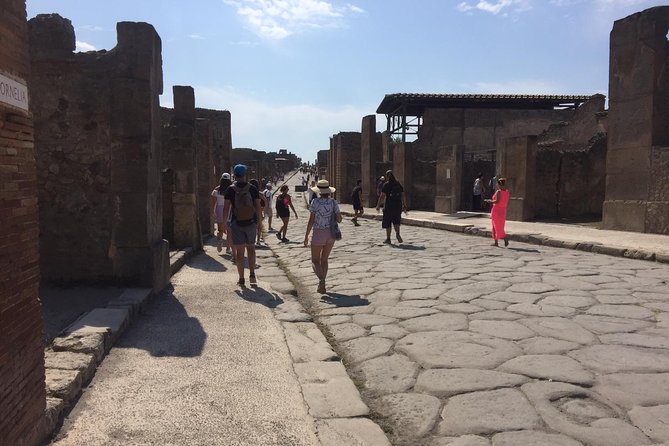 Private Tour: Pompeii Half-Day Trip from Naples - Pickup and Transportation from Naples