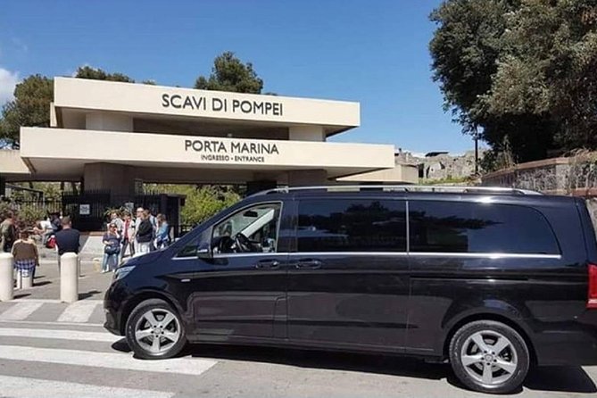 Private Tour: Pompeii Ruins from Rome in a Day - Highlights of the Pompeii Tour
