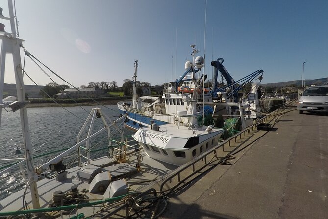 Private Tour: Ring of Beara from Kenmare. - Explore the Scenic Loop of the Ring of Beara