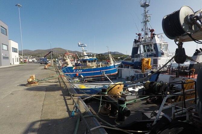 Private Tour: Ring of Beara from Killarney. - Discover the Healy Pass and Its Breathtaking Views
