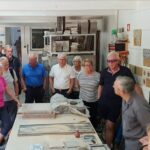 Private Tour Sesimbra Blue Coast - Starting Point: Lisbon and the Journey to the South Bank