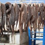 Private Tour: The Best of Mykonos (no walking) - Iconic Views at the Windmills (Kato Milli)