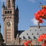 Private Tour: The Hague Walking Tour Including Peace Palace Visitors Center - Exploring The Hague’s Political Heart: The Binnenhof and Parliament Buildings