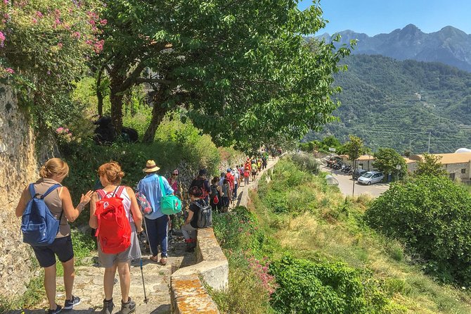 Private Tour: The Path of the Lemons - Walking Through Lemon Groves and Medieval Alleyways