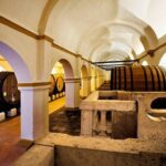 Private tour to Evora with optional wine tasting in the cartucha - Visiting the Convento da Cartuxa for Wine and Olive Oil Tasting