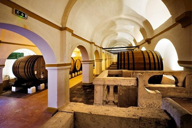 Private tour to Evora with optional wine tasting in the cartucha - Visiting the Convento da Cartuxa for Wine and Olive Oil Tasting