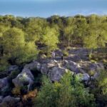 Private tour to Fontainebleau from Paris. Tickets included! - Convenient Hotel Pickup in Central Paris