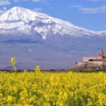 Private tour to Khor Virap Noravank wine tasting birds cave - Final Thoughts on the Private Armenia Day Trip