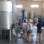 Private Tour to Silves Castle Whith Algarvian Wine Tasting - Visiting Silves Castle: An Imposing Medieval Fortress