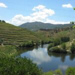 Private Tour to the Douro Valley - Starting Point Options and Pickup Logistics