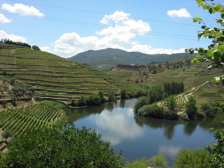 Private Tour to the Douro Valley - Starting Point Options and Pickup Logistics