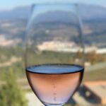 Private Tour: Top Three Organic Wineries & Local Lunch Included - Visiting Sant Sadurni dAnoia, a Hub for Ecological Wine Production