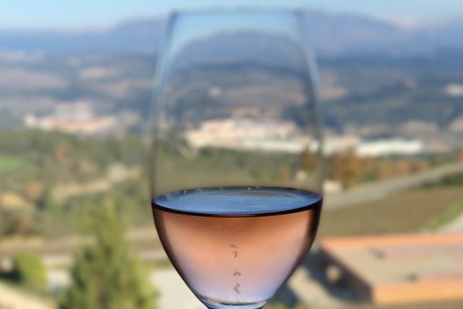 Private Tour: Top Three Organic Wineries & Local Lunch Included - Visiting Sant Sadurni dAnoia, a Hub for Ecological Wine Production