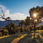 Private Tour VIP - Tailored Itinerary Gives You Control Over Your Day