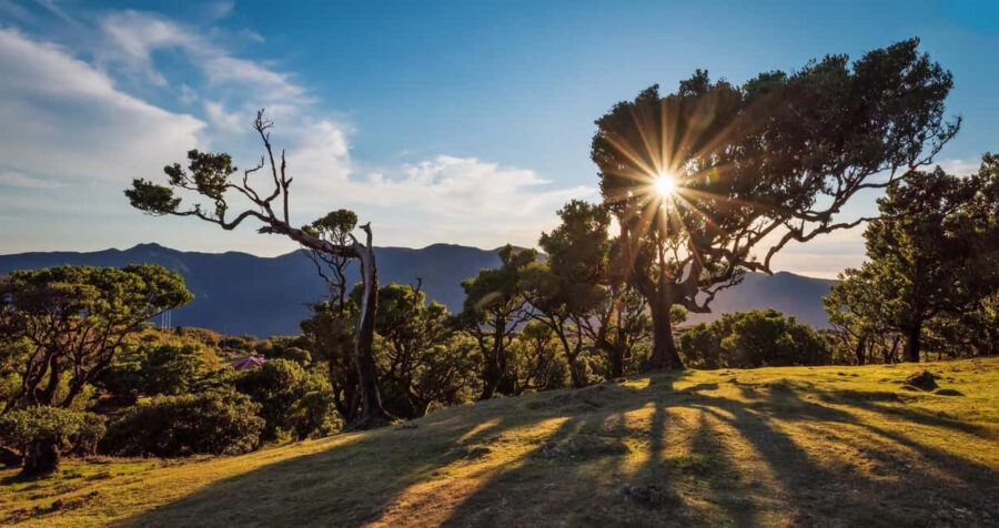 Private Tour VIP - Tailored Itinerary Gives You Control Over Your Day