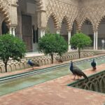 Private Tour with Local Guide to know the Seville Essential - Exploring the Royal Alcazar de Sevilla