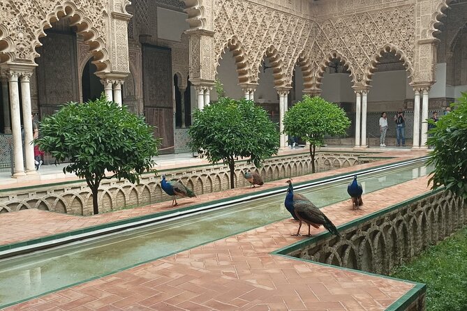 Private Tour with Local Guide to know the Seville Essential - Exploring the Royal Alcazar de Sevilla