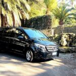 Private Transfer from Fiumicino Airport to Rome - Meeting Point and Flight Arrival Coordination