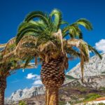 Private Transfer from Makarska to Dubrovnik with 2h Sightseeing, local driver - The 2-Hour Sightseeing Stop: Discover Top-Rated Attractions