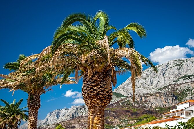 Private Transfer from Makarska to Dubrovnik with 2h Sightseeing, local driver - The 2-Hour Sightseeing Stop: Discover Top-Rated Attractions