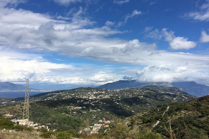 Private transfer from Rome to Sorrento - Meeting Point and Pickup Details at Rome Airport