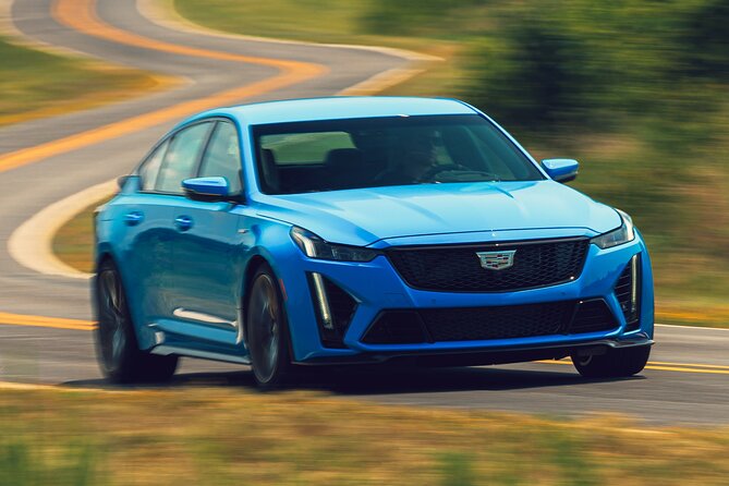 Private Transfer Milan Bergamo Airport BGY to Milan City - Vehicle Features and Customer Service Highlights