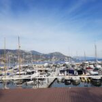 Private Transfer Nice Airport to Beaulieu-sur-Mer or Cap-Ferrat - Language Skills and Local Expertise of Drivers