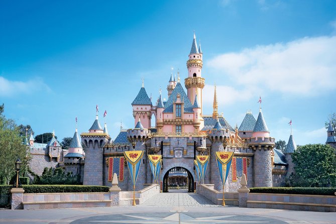 Private Transfer: Paris to Disneyland Park or Hotel by Luxury Van - Exclusive Private Pickup in Paris in a Luxury Mercedes